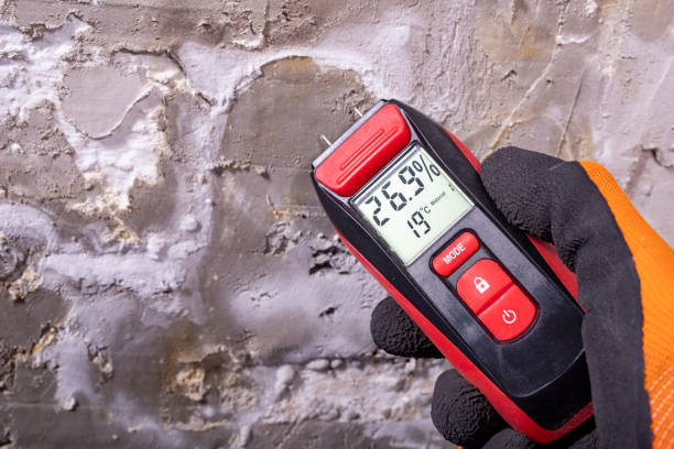 Best Mold Removal Company Near Me  in Spearfish, SD